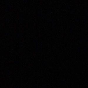 Meet your Posher, Tyson